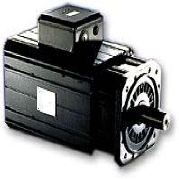 Servo motor industrial