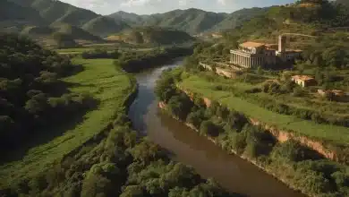 Governo de Minas sanciona lei para recuperação ambiental