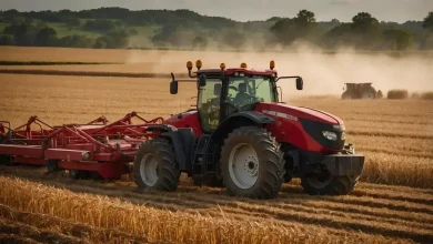 Plano Safra: Governo Planeja Reduzir Juros para Impulsionar Agro