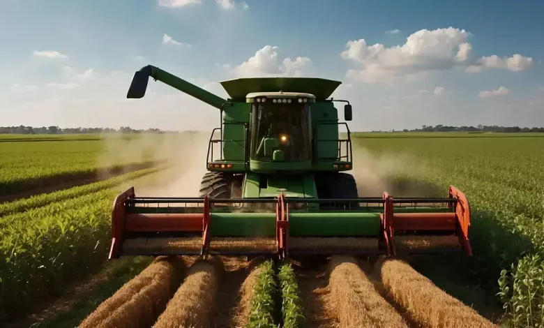 Produção de Soja no Brasil Atinge Recorde Histórico