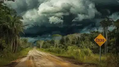 Estrada para COP30 em Belém ameaça Amazônia