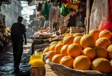 Laranjas do Egito Conquistam Mercado Brasileiro com Preço Competitivo