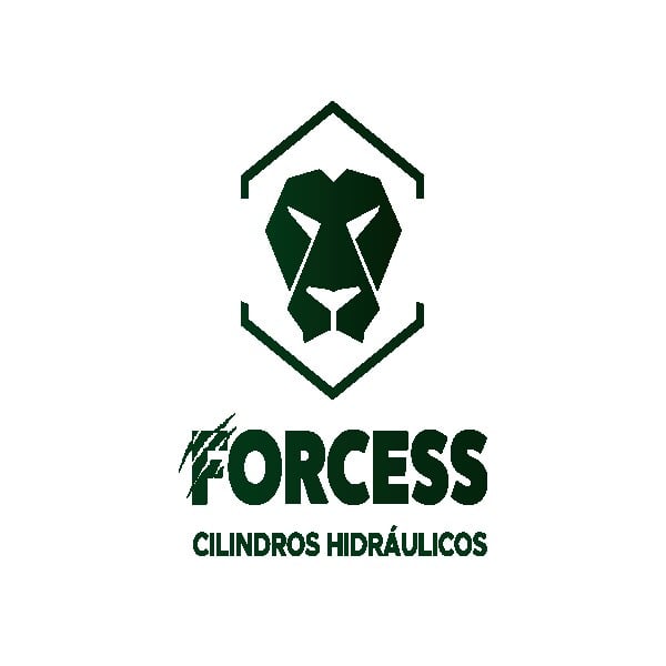 FORCESS INDUSTRIA E COMERCIO LTDA